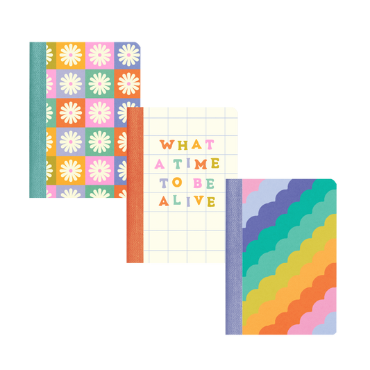 Mini Notebook Set - Delightful (3 pack)