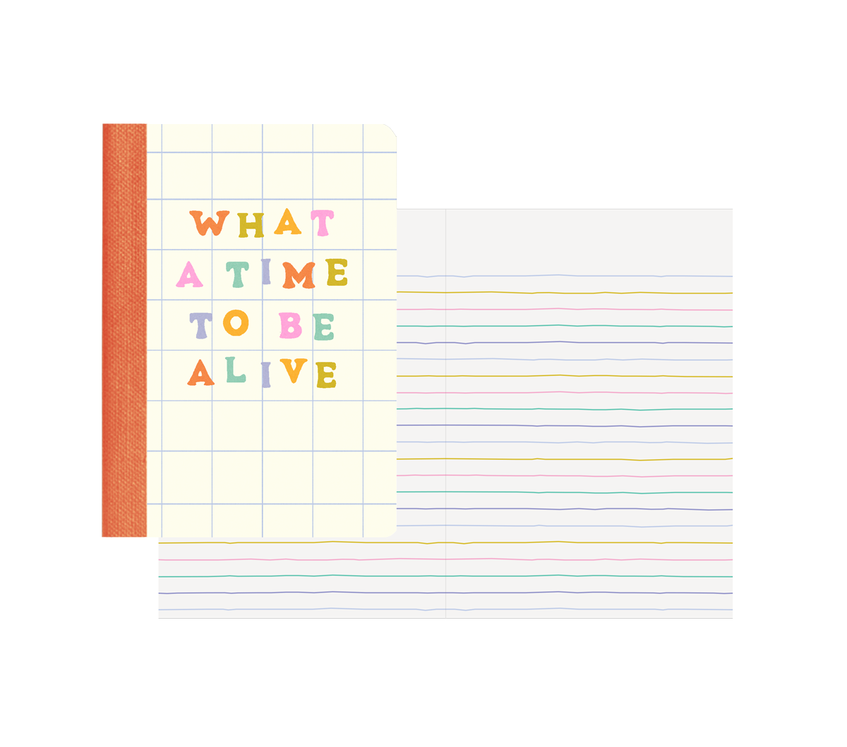 Mini Notebook Set - Delightful (3 pack)