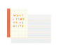 Mini Notebook Set - Delightful (3 pack)