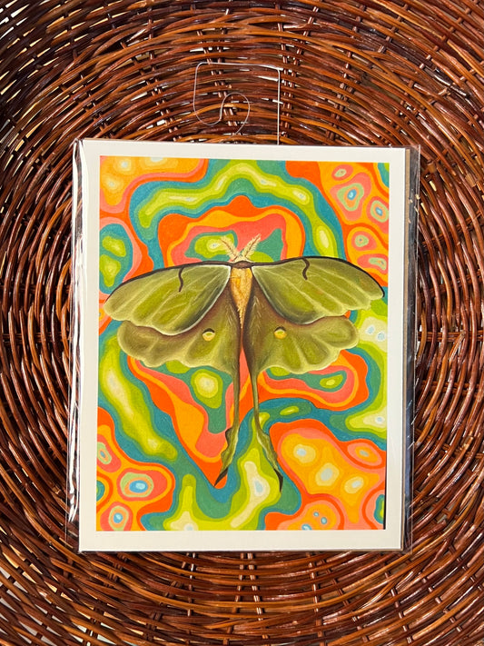 Abstract Moth Print Unframed 8x10