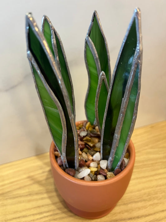 Snake plant stained glass