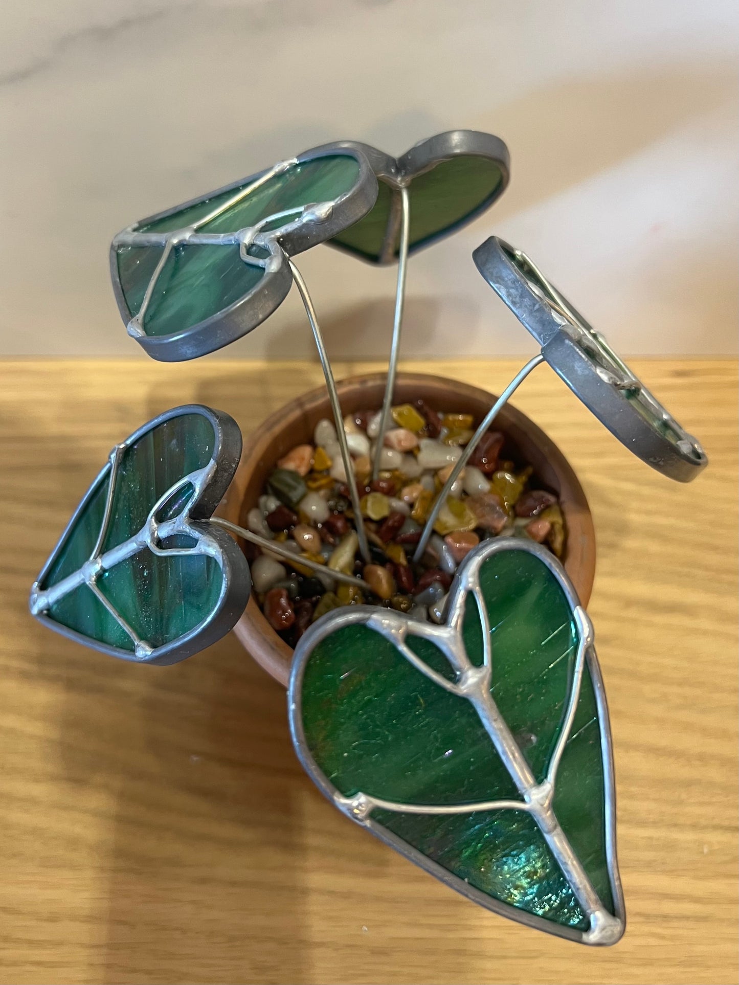 Alocasia stained glass potted plant