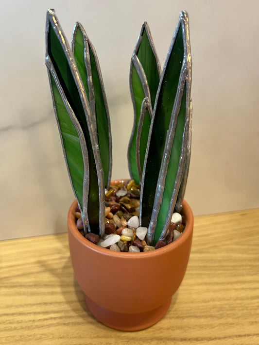 Snake plant stained glass