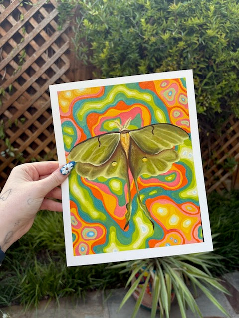 Butterfly Print 8x10 Unframed