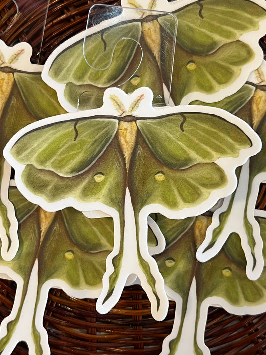 Green Lunar Moth Sticker