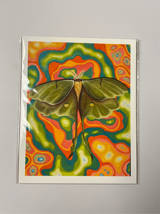 Abstract Moth Print Unframed 8x10