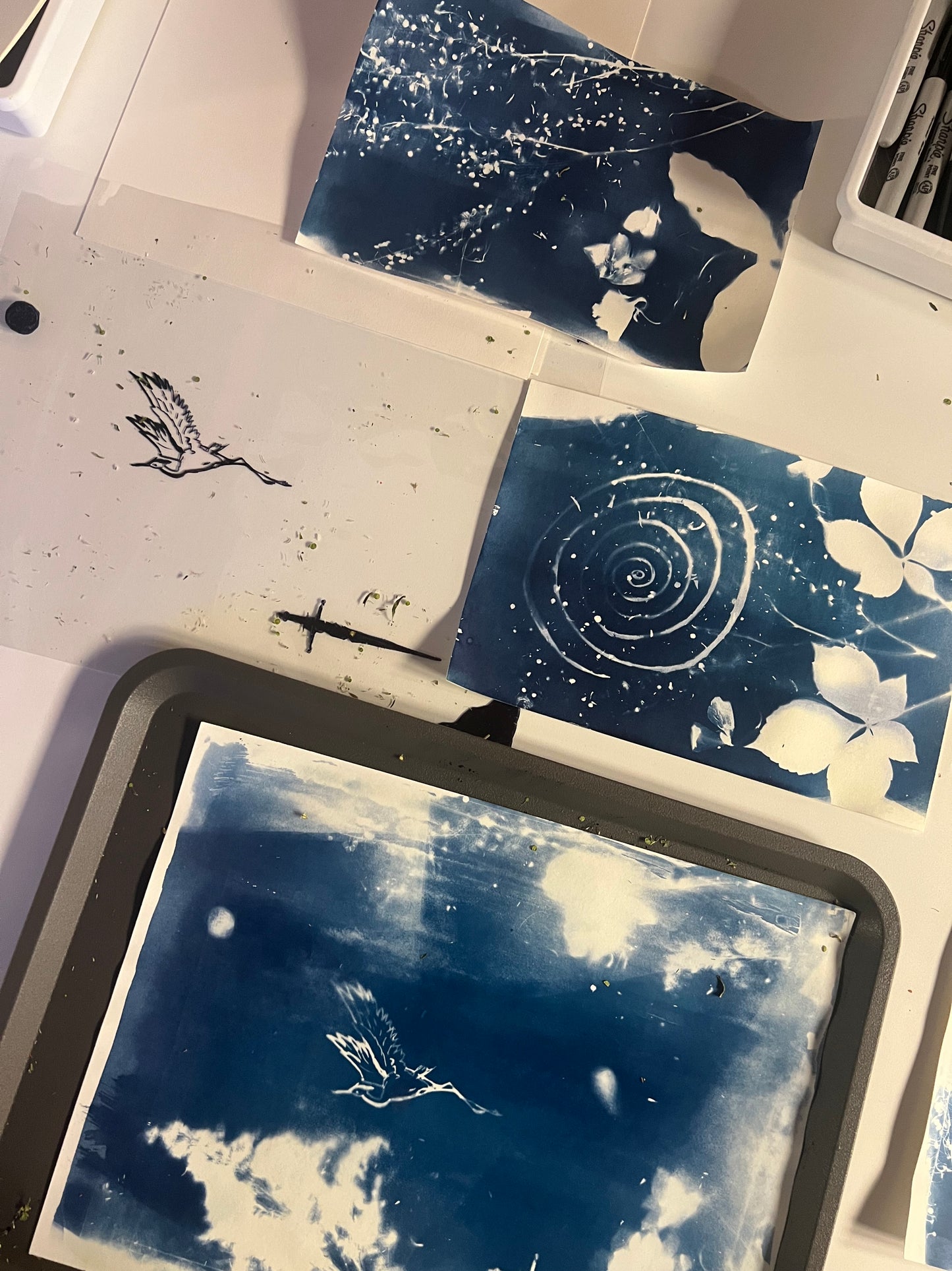 March Monthly Intention Setting Workshop - Sun Printing | March 28th 10am-12pm