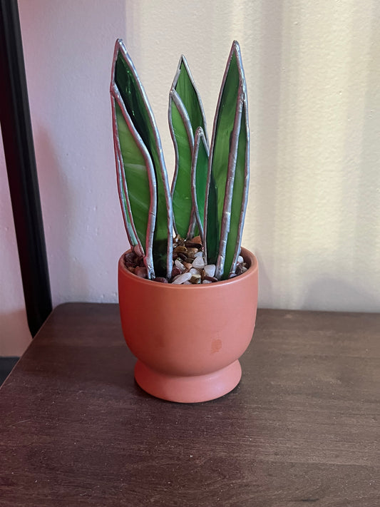 Stained Glass Plants | February 19th 6pm-8pm