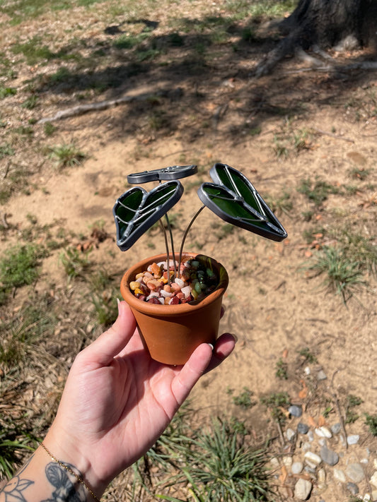 Stained Glass Plants Workshop - April