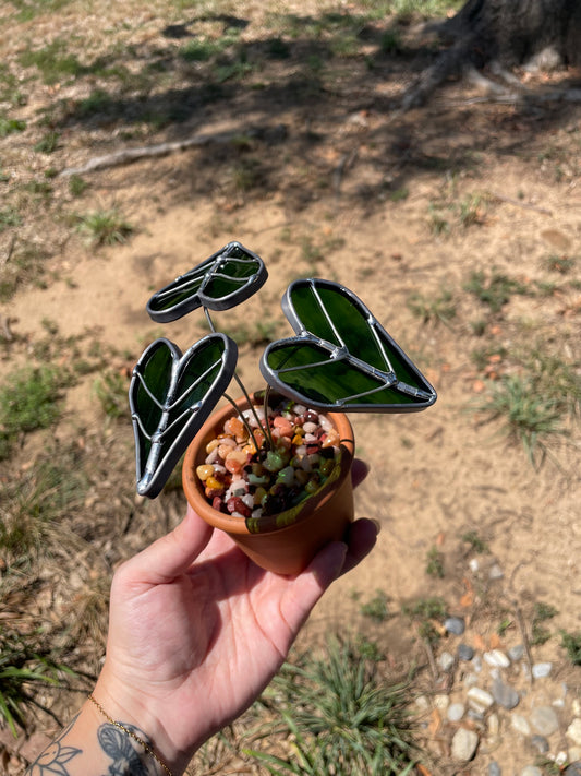 Stained Glass Plants Workshop - April